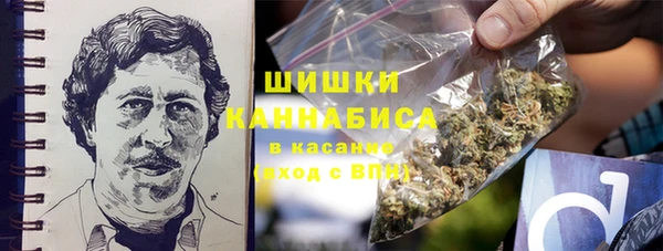 мет Алексин
