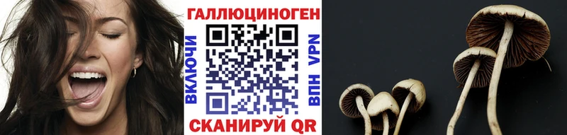 Галлюциногенные грибы Cubensis  Сосновка 